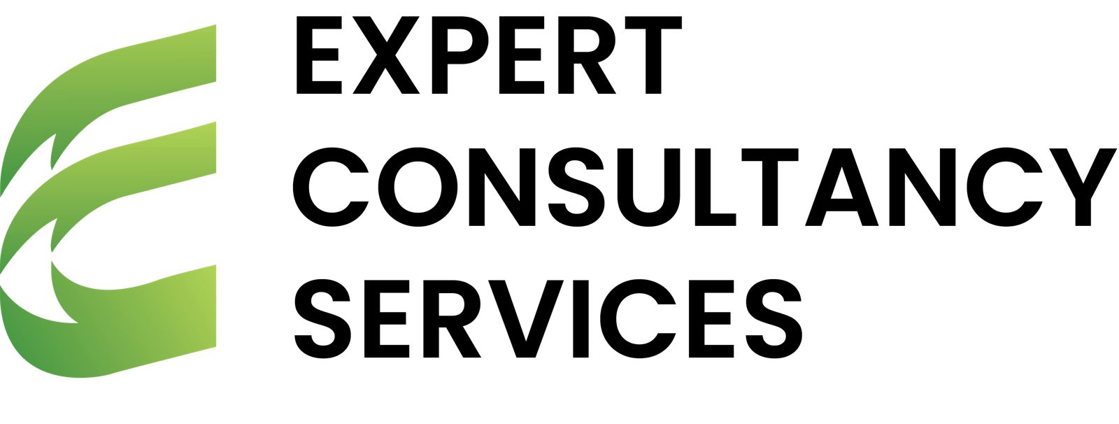 ECS – Expert Consultancy Services