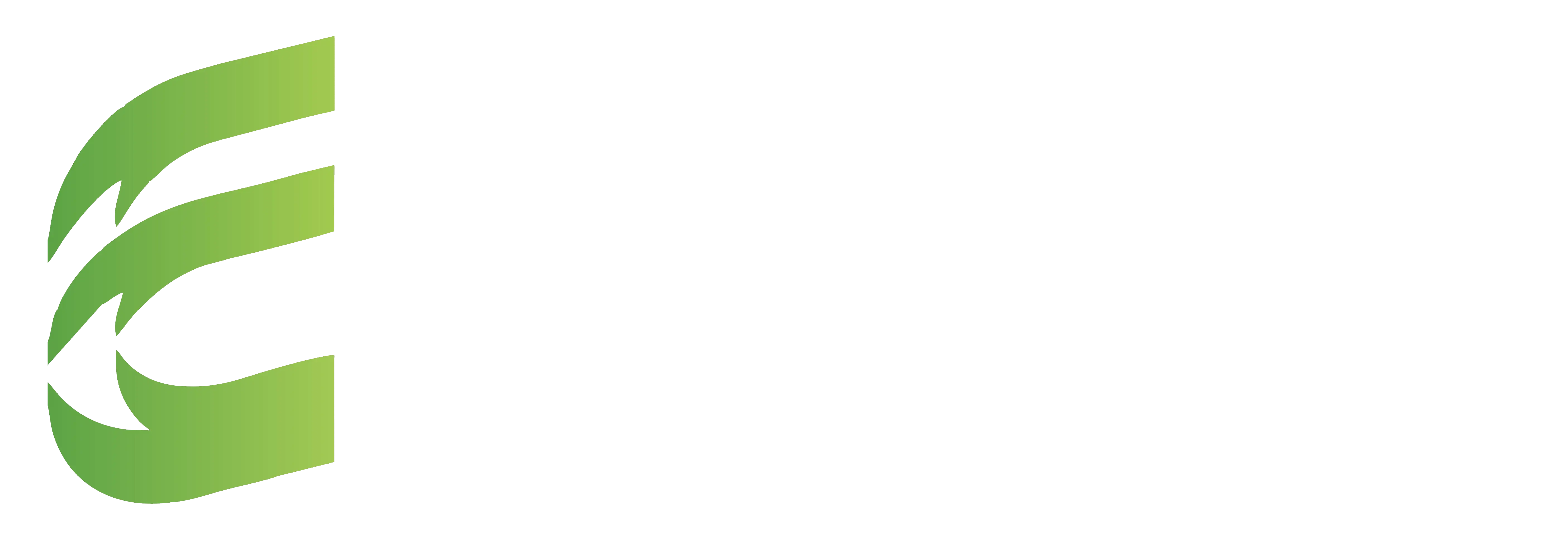 Expert Consultancy Services