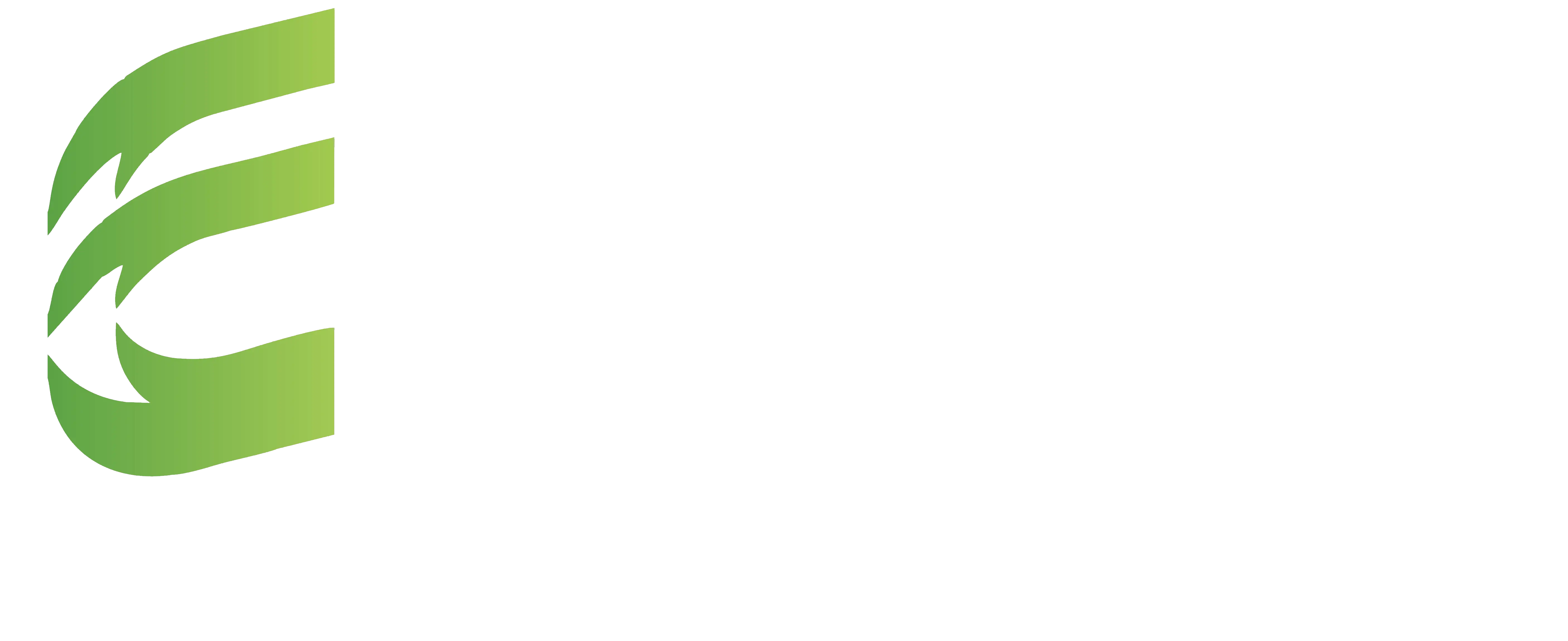Expert Consultancy Services