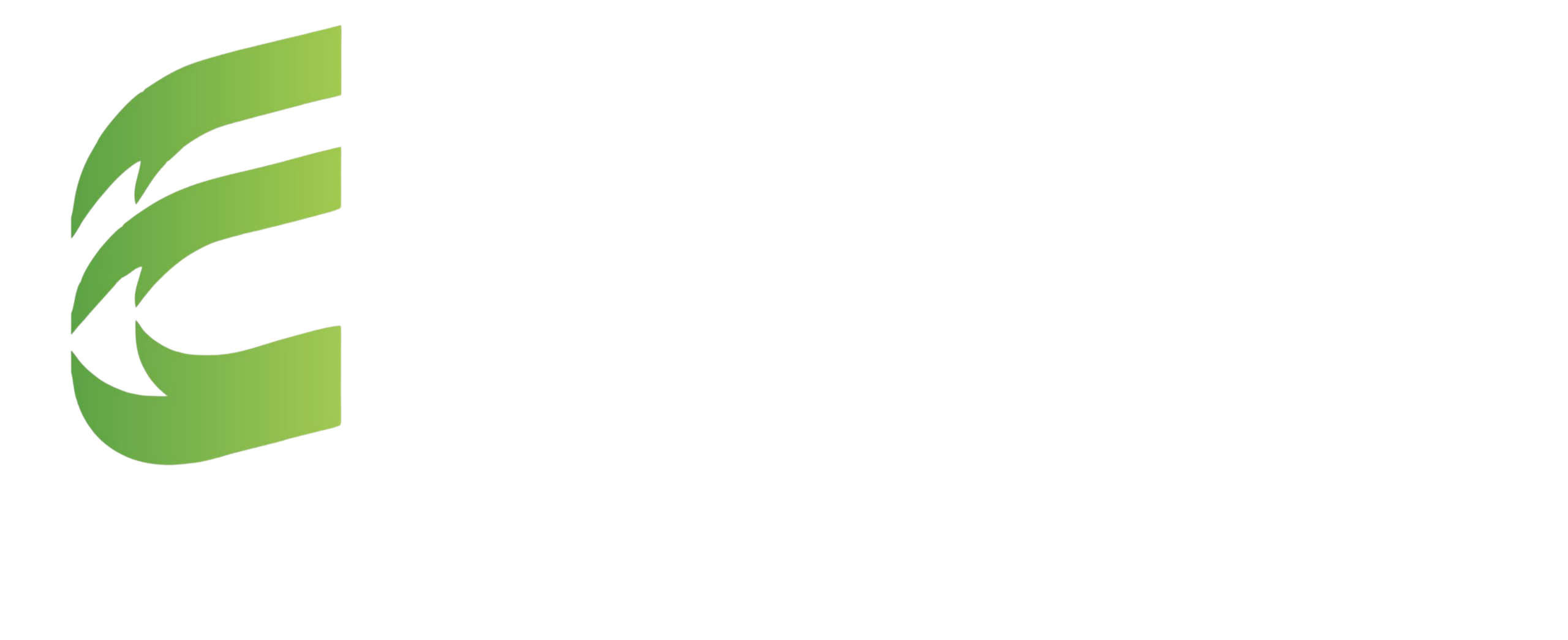 Expert Consultancy Services