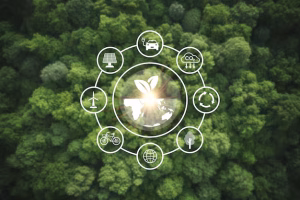 Read more about the article ISO 14067 Certification in Qatar – Carbon Footprint of Products (CFP)